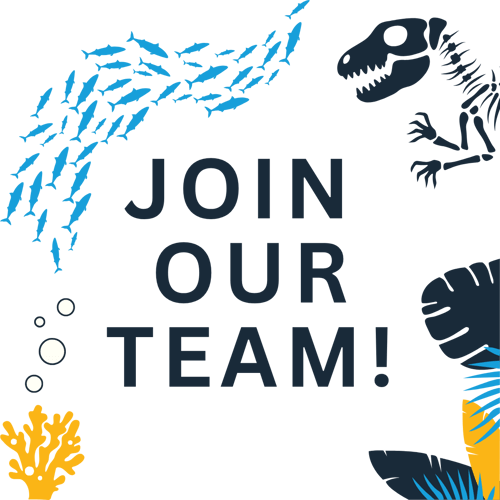 Aquarium - For Web Aquarium - For Web